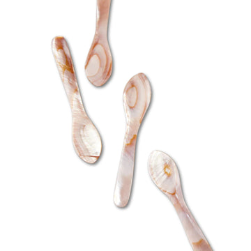 Seashell Spoons - Large Set of 4