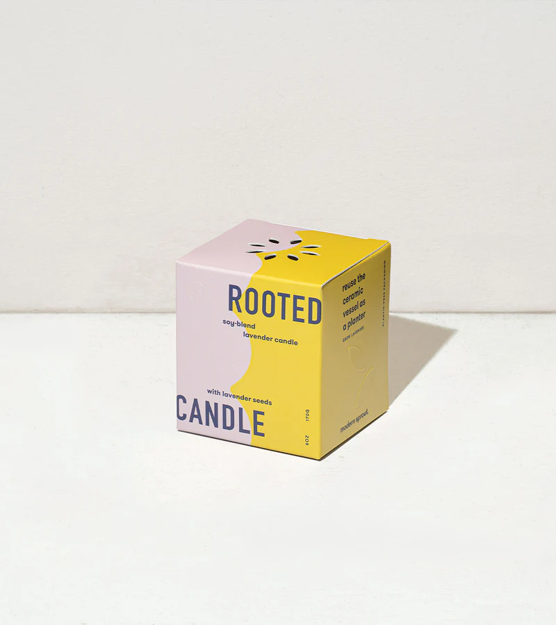 Rooted Candle- Lavender and Cedar Wood
