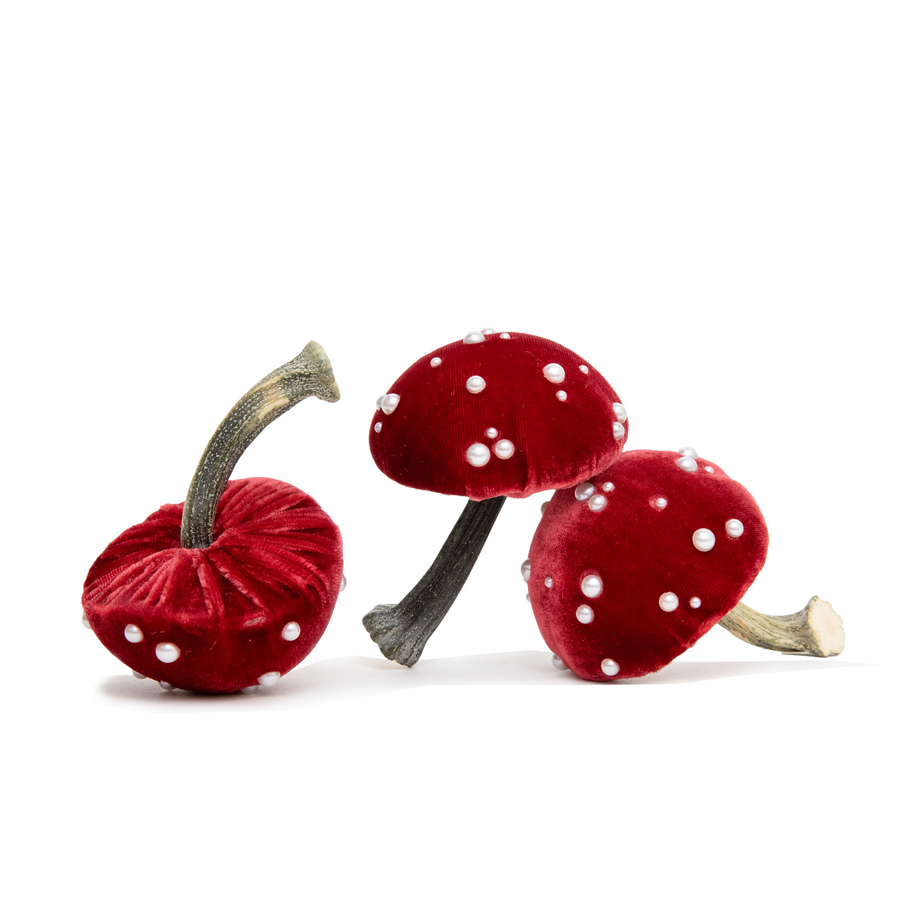 Velvet Mushroom