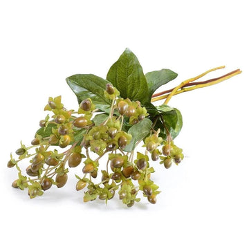 HYPERICUM BERRY-STEM
