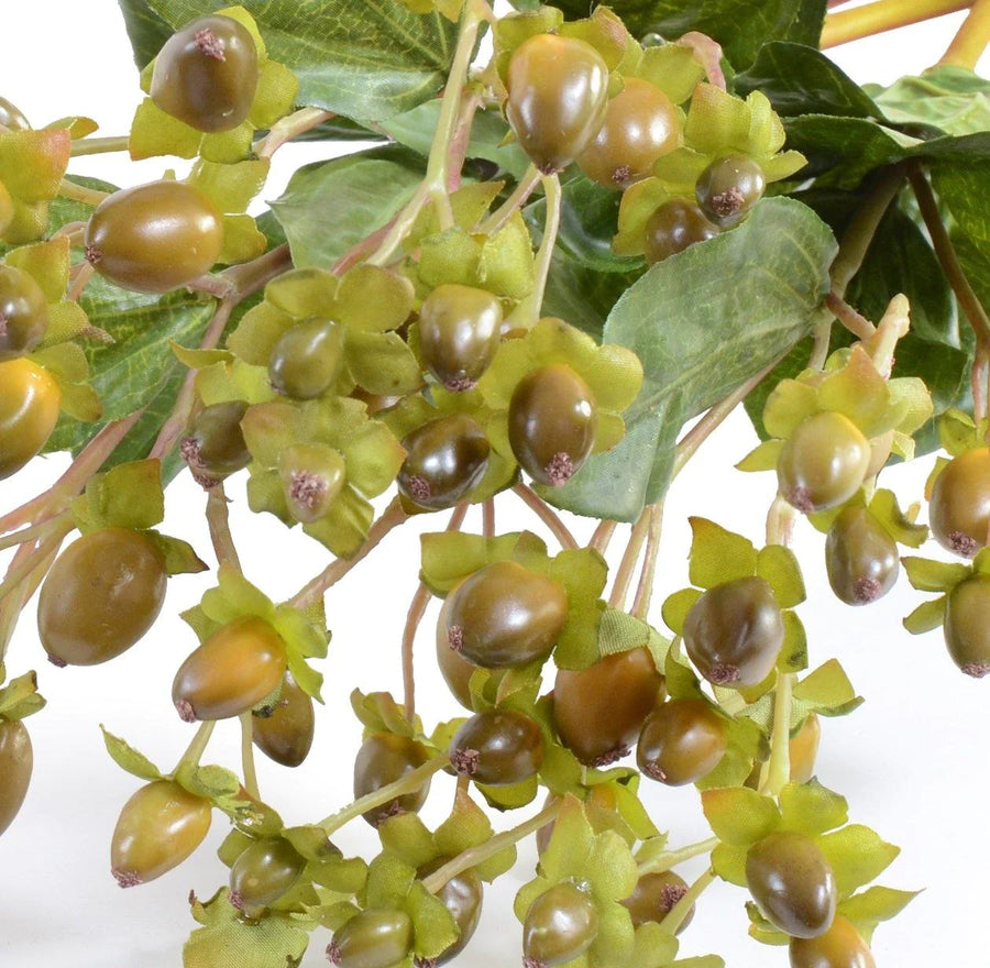 HYPERICUM BERRY-STEM