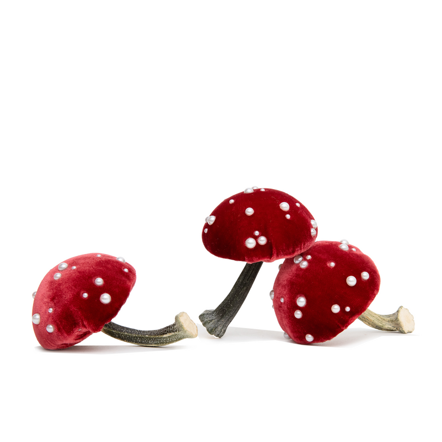 Velvet Mushroom
