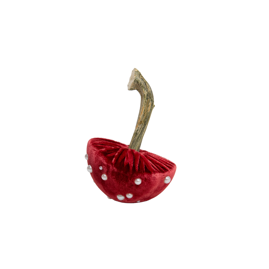 Velvet Mushroom