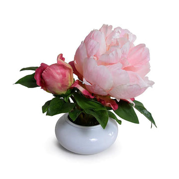 Large Pink Peony in Porcelain Bowl