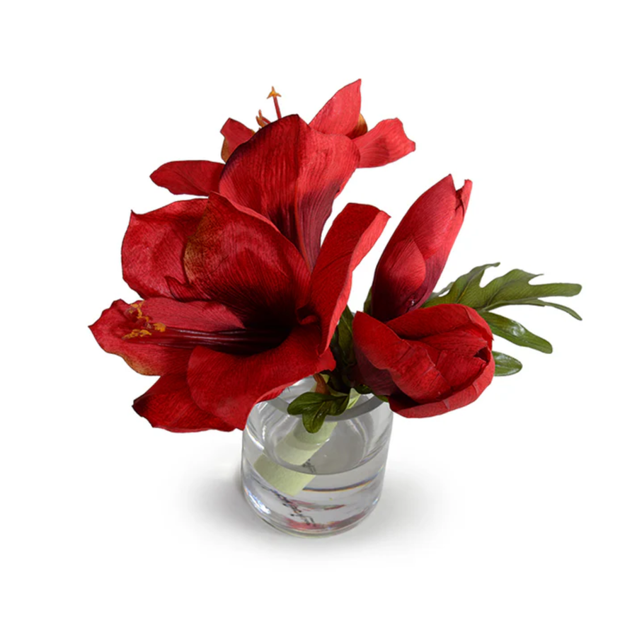 Amaryllis Blossoms - Red