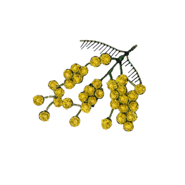 Mimosa Brooch Pin
