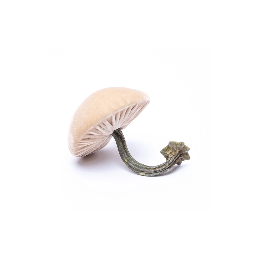 Micro Mushroom - Bone