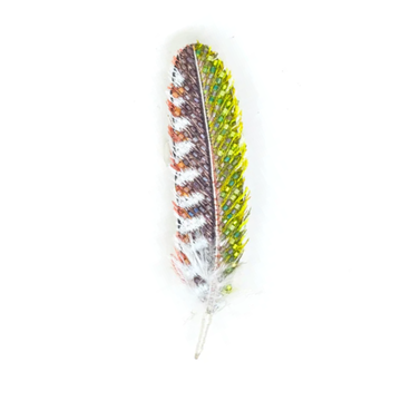 Woodpecker Feather Brooch Pin