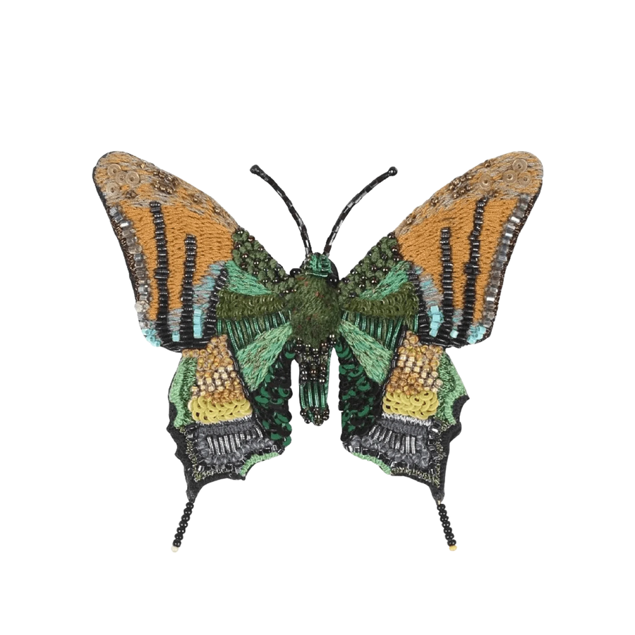 Emperor of India Butterfly Brooch Pin