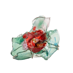 Iris Ring