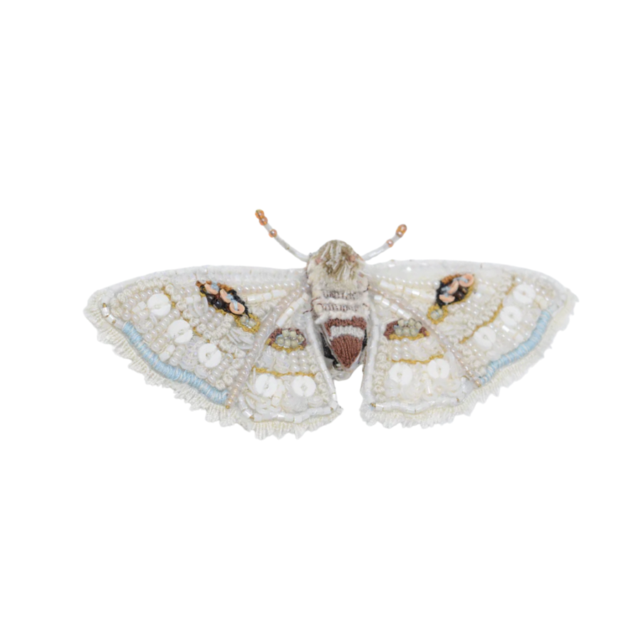 WHITE SPRING MOTH