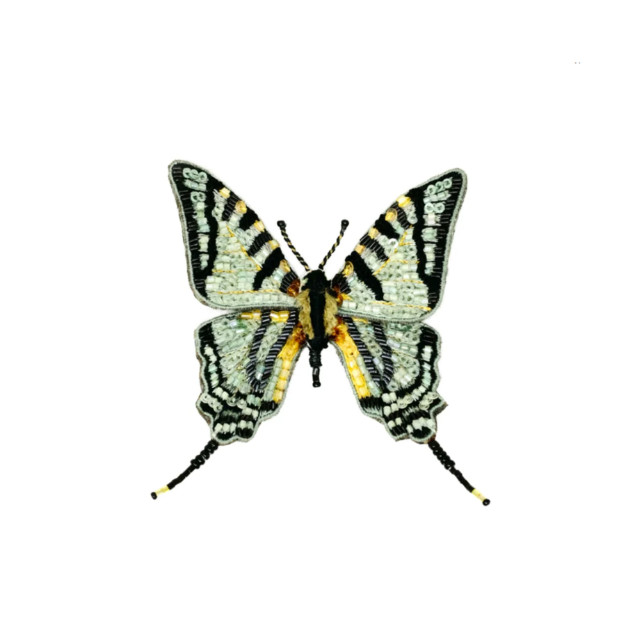 SCARCE SWALLOWTAIL
