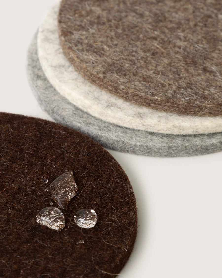 Bierfilzl Merino Wool Round Coaster Multi 4 Pack - Earth