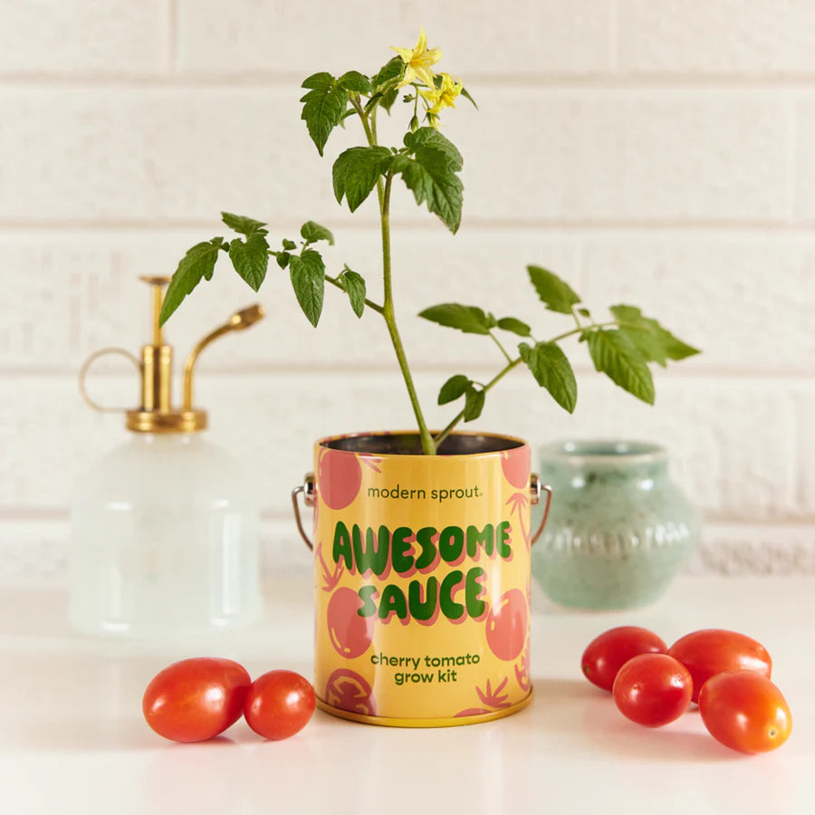 Color grow kits- Awesome sauce