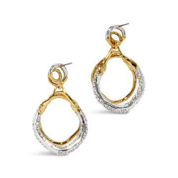 Solanales Gold Crystal Orbit Drop Post Earring