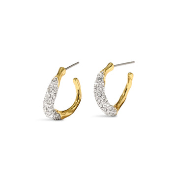 Solanales Gold Crystal Twist Mini Hoop Earring