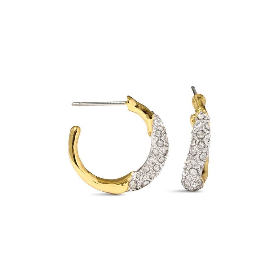 Solanales Gold Crystal Twist Mini Hoop Earring