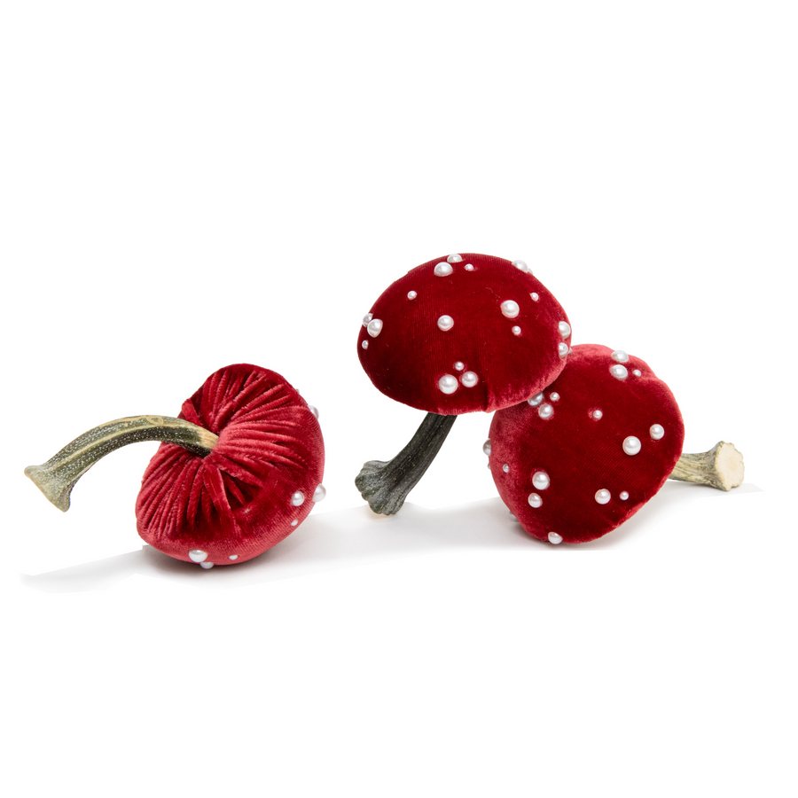 Velvet Mushroom