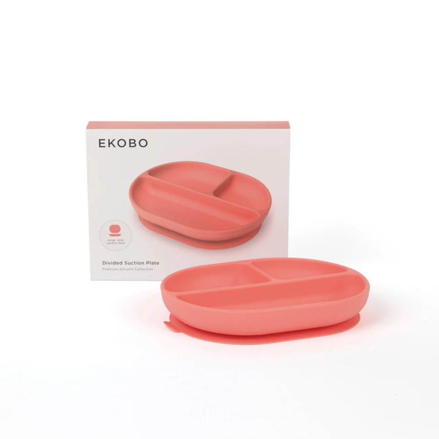 Silicone Divided Suction Plate - Coral