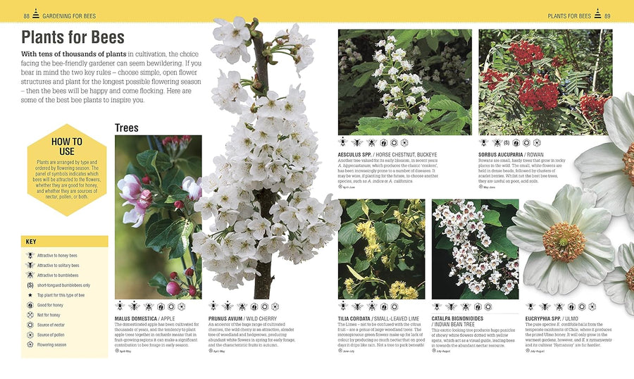The Bee Book