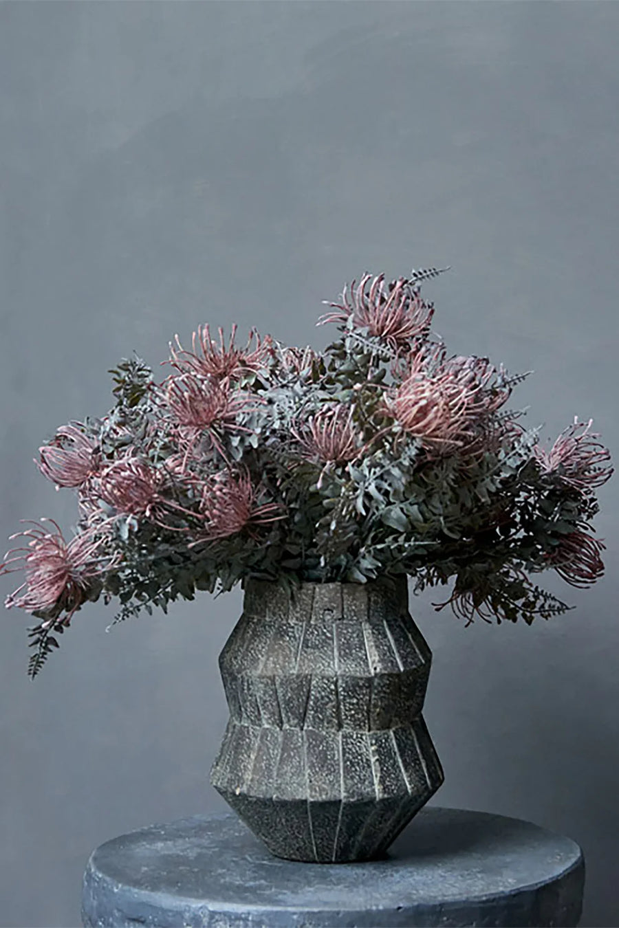 LEUCOSPERMUM BUSH