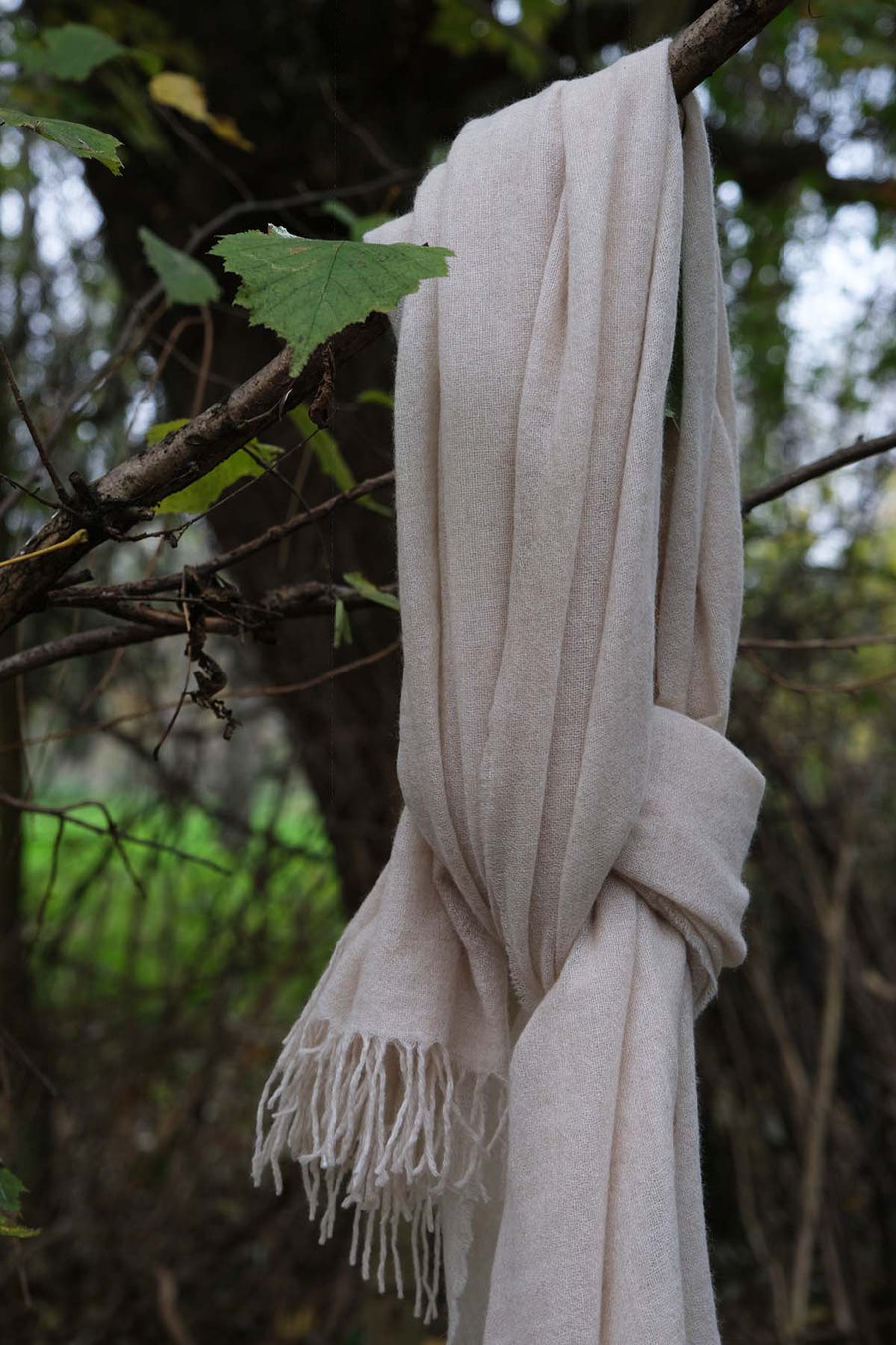 Airy Cashmere Wrap - Light Beige