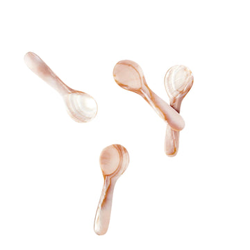 Brown Seashell Spoons - Small set of 4