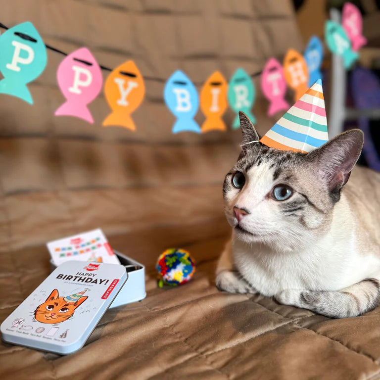 CAT BIRTHDAY KIT