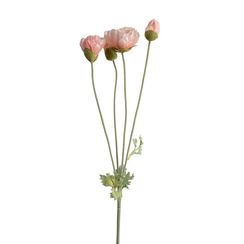 PINK POPPY SPRAY