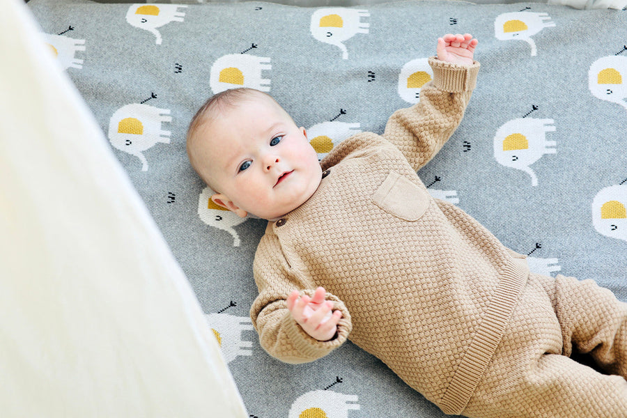 Elephant Jacquard Knit Baby Blanket & Gift Set