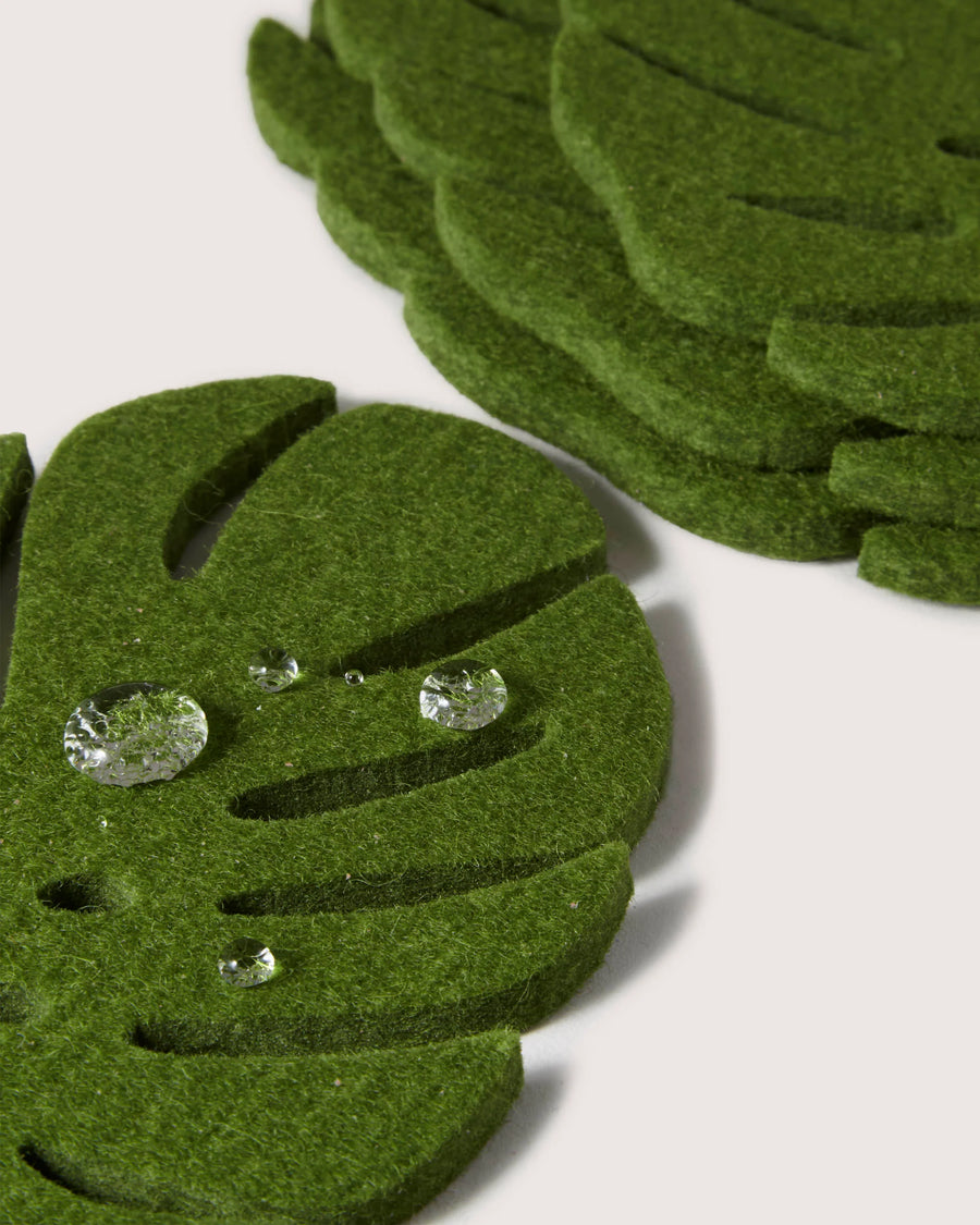 4 PK Merino Wool Monstera Coasters - Loden Green