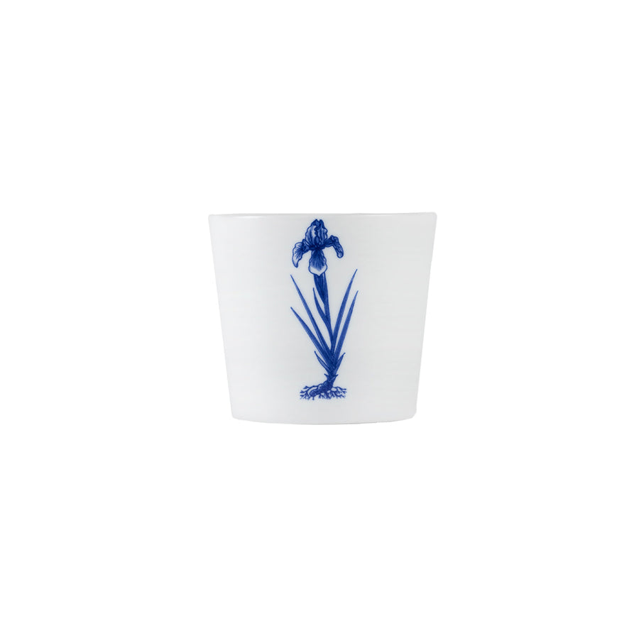 Bonsai Cups - Iris set of 2