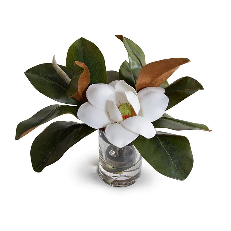 Magnolia With Blossom