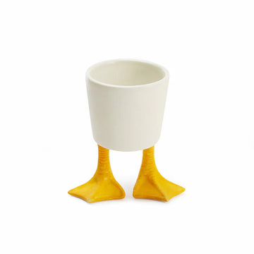Bonsai Cups