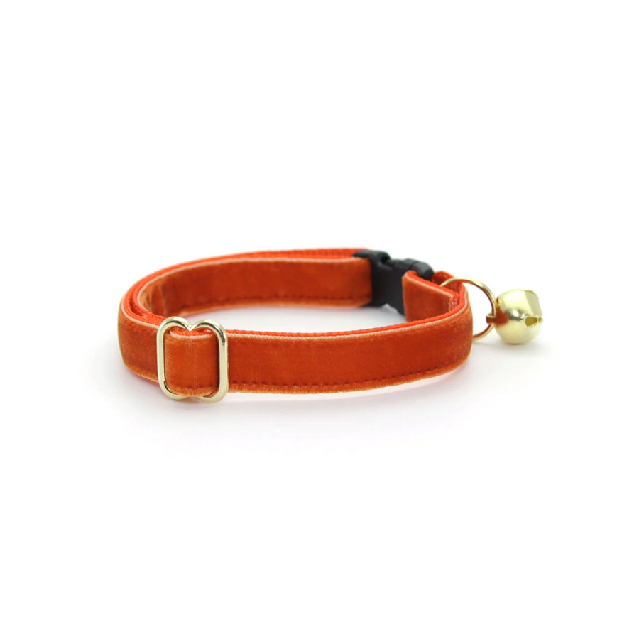 Velvet Cat/small dog Collar - Roasted Pumpkin