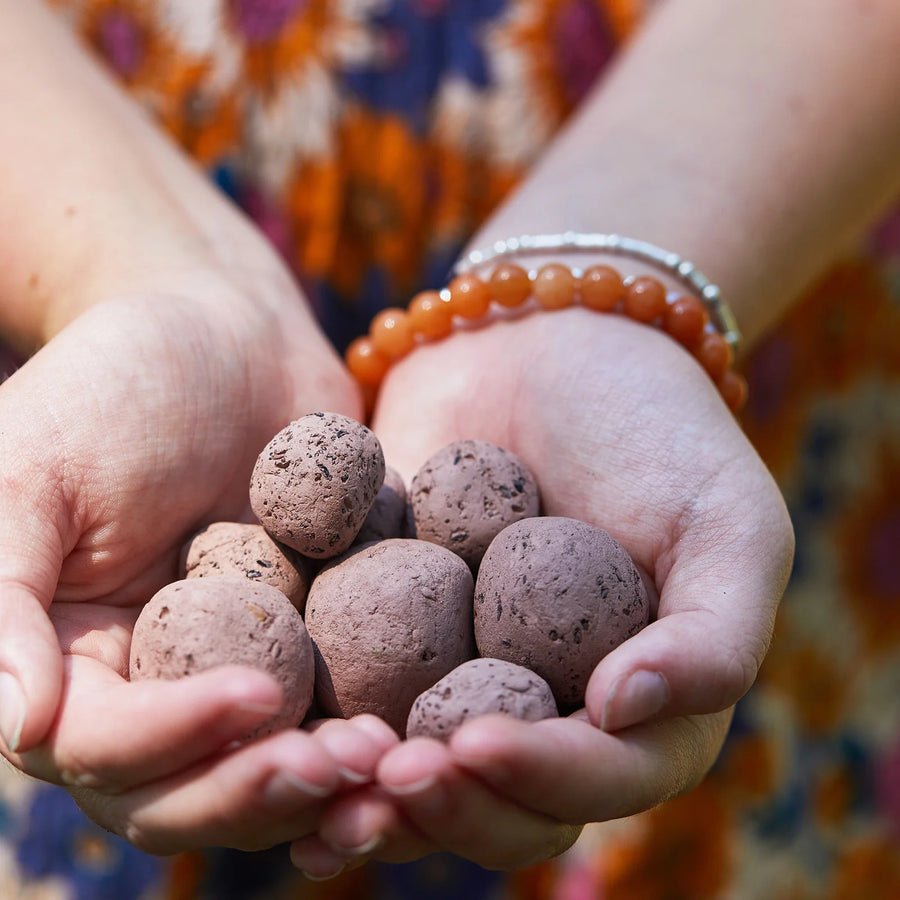 Bright Side Seed Balls - Grow Love