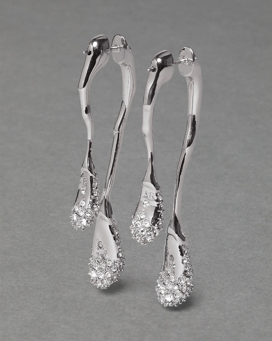 Solanales Crystal Front Back Double Drop Earring - Silver