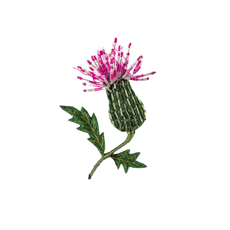 SPEAR THISTLE