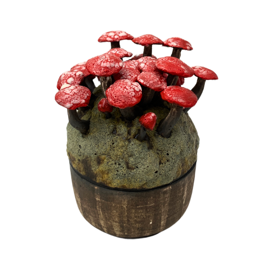 Innumerable Grouped Red Amanita Lidded Jar