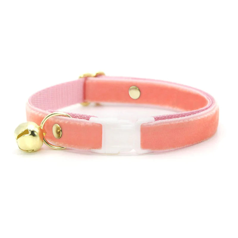 Peach 2024 cat collar