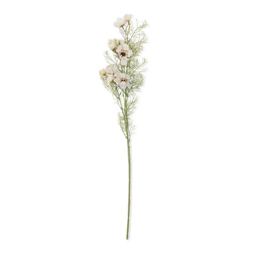 COSMOS CREAM