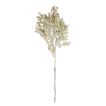 EUCALYPTUS CREAM STEM