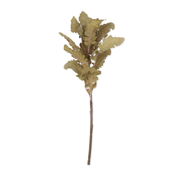 ARTIFICIAL RAGWORT