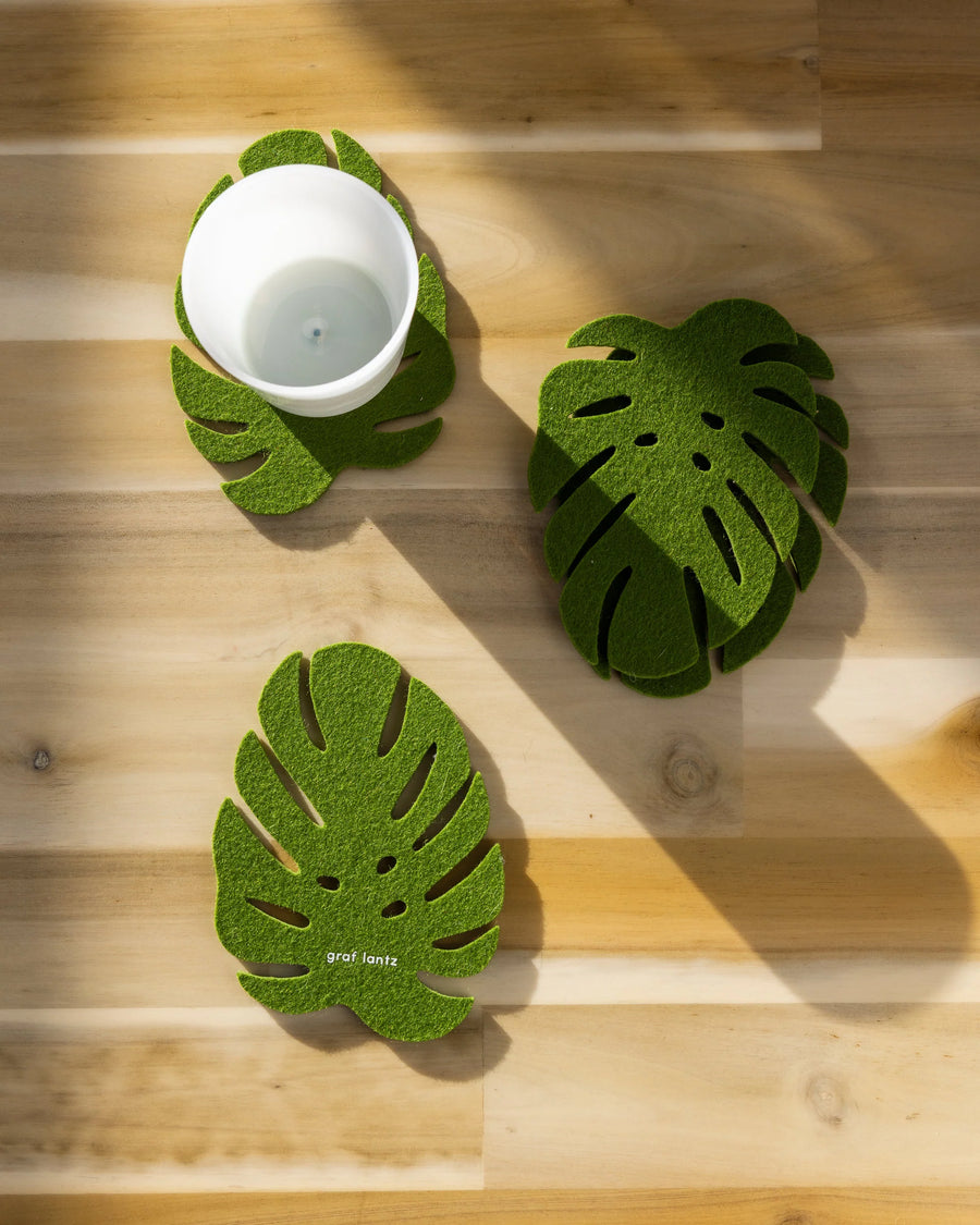 4 PK Merino Wool Monstera Coasters - Loden Green