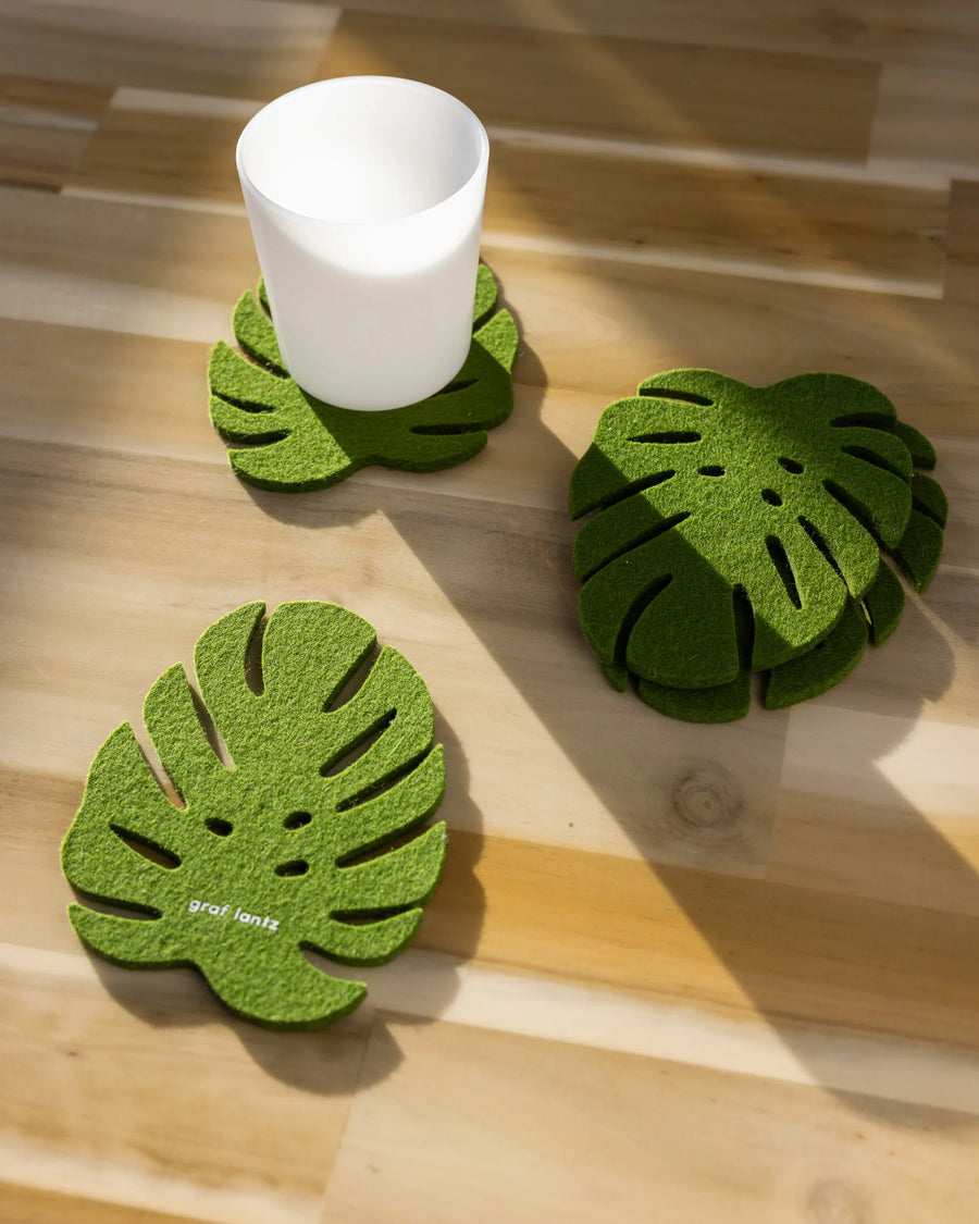 4 PK Merino Wool Monstera Coasters - Loden Green