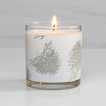 Coral Candle