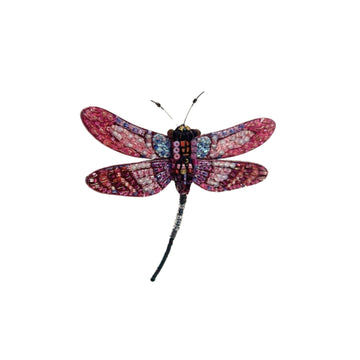 ROSEATE SKIMMER DRAGONFLY