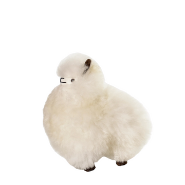 Small Alpaca- White